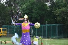 image-slider-with-thumbnail1.jpeg